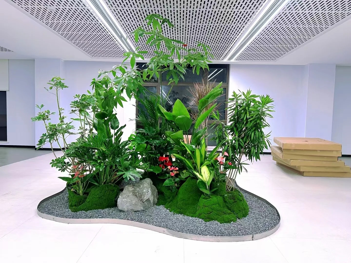 专业盆景出租,宁波余姚打造独特景观氛围